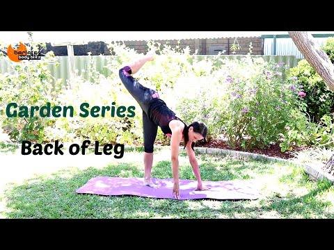 Ballet Barre Glutes and Hamstrings workout - BARLATES Garden Back of Legs Workout
