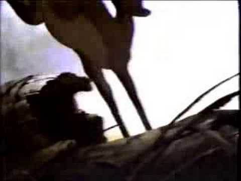 Bambi - Trailer #1 (1988 re-release)