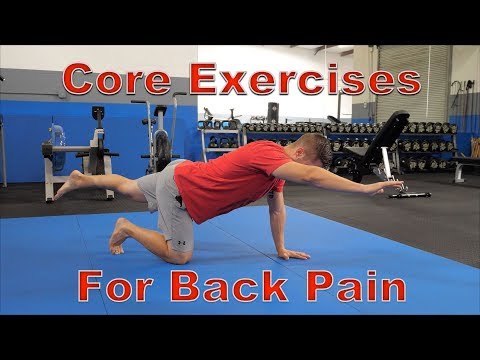 FIVE Best Core Exercises for Back Pain (Protects Spine!)
