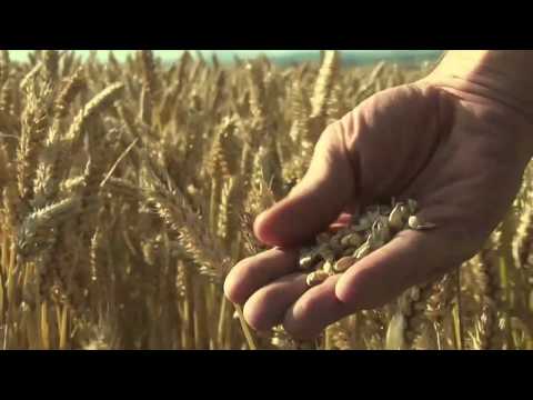 Food Matters Official Trailer