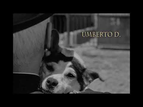 Comentarios, análisis y visión personal sobre la película Umberto D. del director Vittorio De Sica.