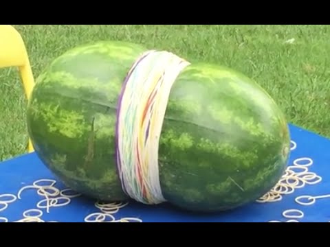The Great Watermelon Challenge(s) | Flippin' Katie
