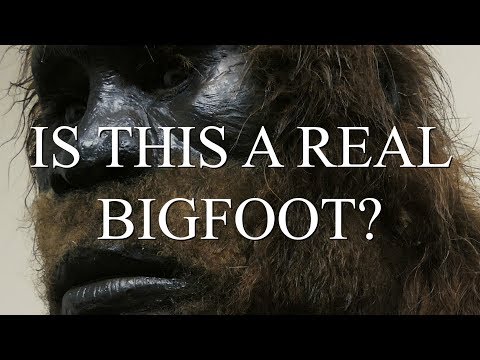 IS THIS A REAL BIGFOOT? INCREDIBLE BIGFOOT FOOTAGE! - Mountain Beast Mysteries Episode 41.
