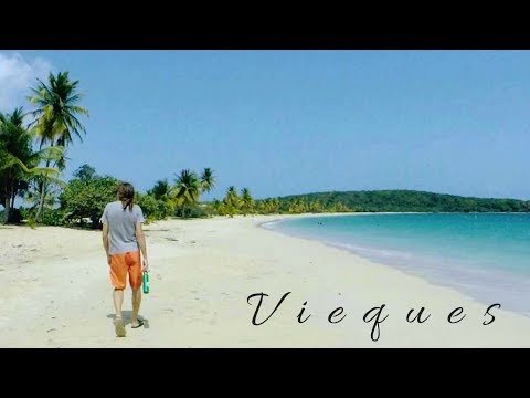 Vieques | Life In Paradise