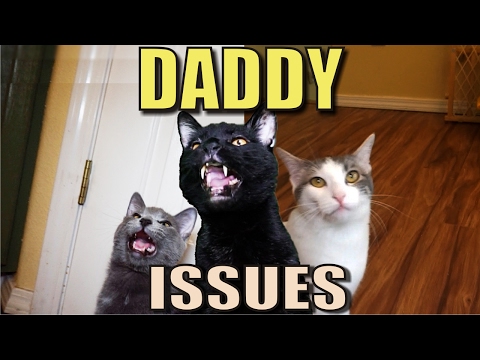 Talking Kitty Cat 52 - Daddy Issues