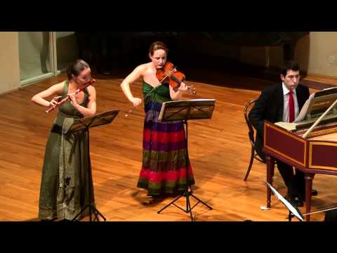 J.S.Bach - Brandenburg Concerto No.5 in D BWV1050 - Croatian Baroque Ensemble