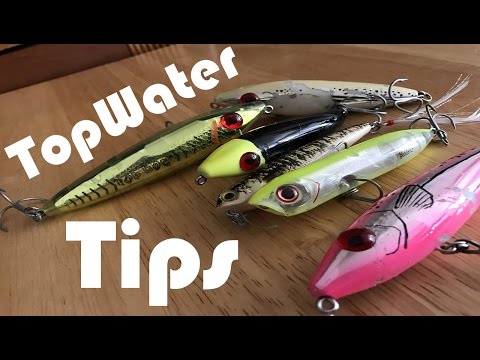 TopWater Tips!! | Conditions, Colors, Size, Rattles, and More