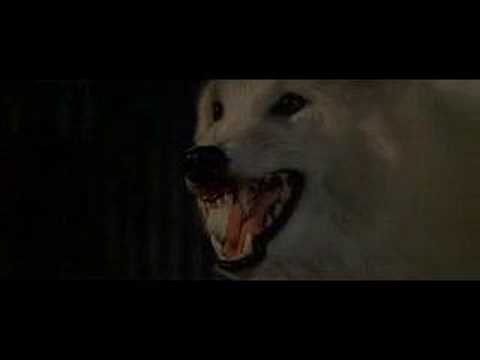 wolfen (lobos humanos)