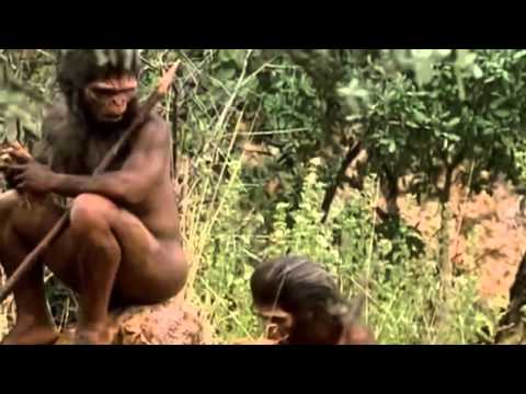 Evolucion de la Especie Humana - Docufilm