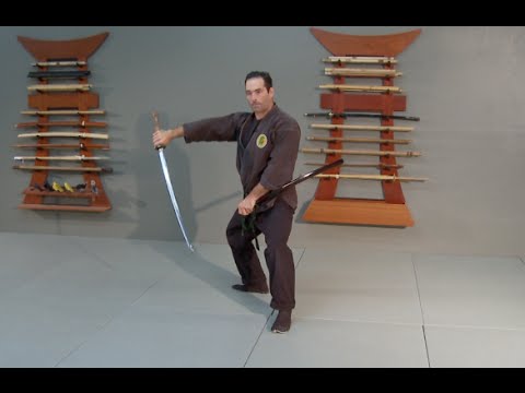 Samurai Sword Kata for Bujinkan Ninjutsu- Ninja Katana Training