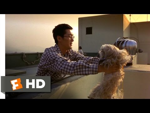 Barking Dogs Never Bite (2000) - Disposing of the Dog Scene (1/11) | Movieclips