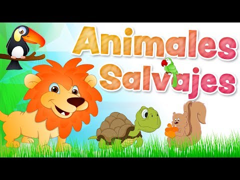 The ANIMALS in Spanish for kids with sounds