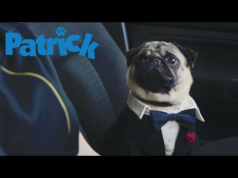 PATRICK | NEW UK Trailer | Official UK