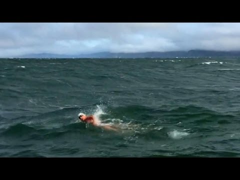 Woman's dangerous swim to Golden Gate Bridge makes history