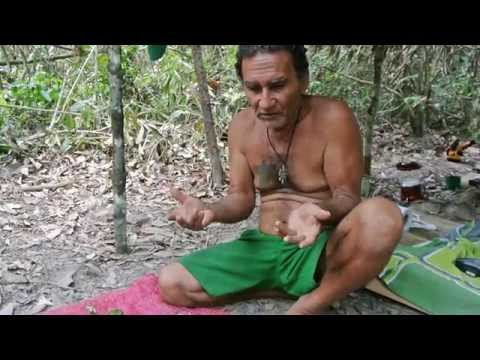 "El Curandero. Las enseñanzas de don Raul" (Ayahuasca and Amazon shamanism documentary -Eng subs)