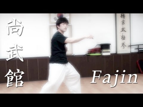 Chen Taichi Fajin basics explained