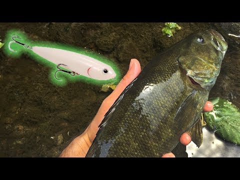 Creek Fishing Smallmouth Bass - Tips and Techniques Summer Topwater
