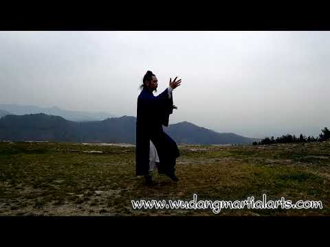 Wudang Tai Chi 108 by Master Chen Shiyu