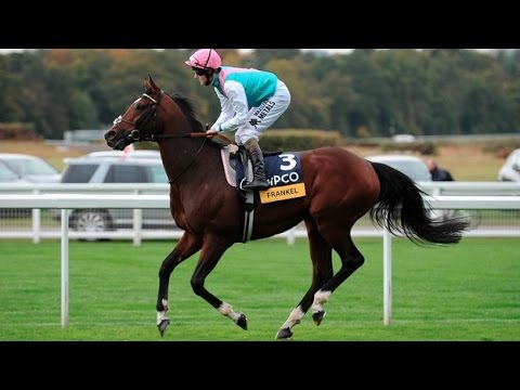 Frankel - The 'Wonder Horse' [All 14 Wins]