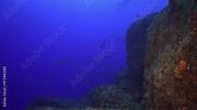 Foto de Relajación natural bajo el agua de Palau